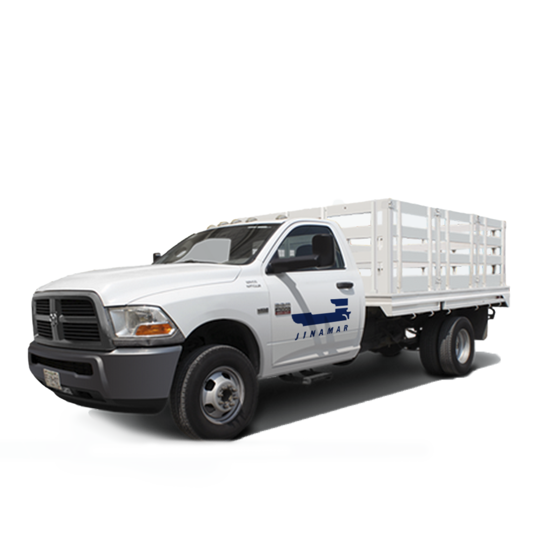 Camioneta RAM